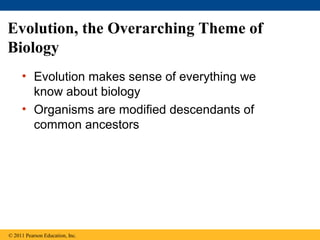 Evolution, the Overarching Theme of
Biology
• Evolution makes sense of everything we
know about biology
• Organisms are modified descendants of
common ancestors
© 2011 Pearson Education, Inc.
 
