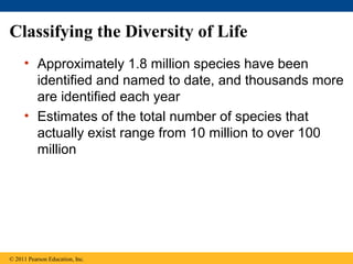 Classifying the Diversity of Life
• Approximately 1.8 million species have been
identified and named to date, and thousands more
are identified each year
• Estimates of the total number of species that
actually exist range from 10 million to over 100
million
© 2011 Pearson Education, Inc.
 