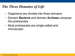 The Three Domains of Life
• Organisms are divided into three domains
• Domain Bacteria and domain Archaea compose
the prokaryotes
• Most prokaryotes are single-celled and
microscopic
© 2011 Pearson Education, Inc.
 