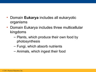 • Domain Eukarya includes all eukaryotic
organisms
• Domain Eukarya includes three multicellular
kingdoms
– Plants, which produce their own food by
photosynthesis
– Fungi, which absorb nutrients
– Animals, which ingest their food
© 2011 Pearson Education, Inc.
 