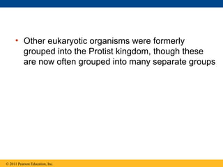 • Other eukaryotic organisms were formerly
grouped into the Protist kingdom, though these
are now often grouped into many separate groups
© 2011 Pearson Education, Inc.
 