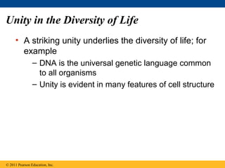 Unity in the Diversity of Life
• A striking unity underlies the diversity of life; for
example
– DNA is the universal genetic language common
to all organisms
– Unity is evident in many features of cell structure
© 2011 Pearson Education, Inc.
 