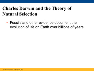 Charles Darwin and the Theory of
Natural Selection
• Fossils and other evidence document the
evolution of life on Earth over billions of years
© 2011 Pearson Education, Inc.
 