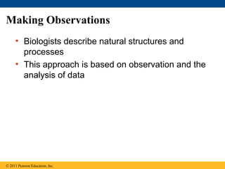 Making Observations
• Biologists describe natural structures and
processes
• This approach is based on observation and the
analysis of data
© 2011 Pearson Education, Inc.
 