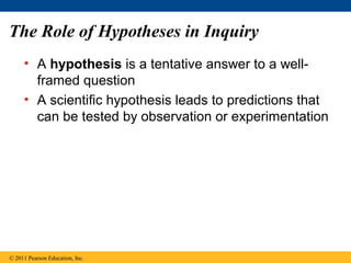 The Role of Hypotheses in Inquiry
• A hypothesis is a tentative answer to a well-
framed question
• A scientific hypothesis leads to predictions that
can be tested by observation or experimentation
© 2011 Pearson Education, Inc.
 