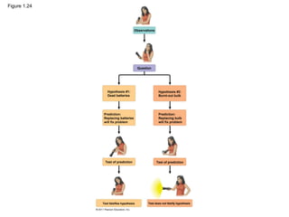 Figure 1.24
Observations
Question
Hypothesis #1:
Dead batteries
Hypothesis #2:
Burnt-out bulb
Prediction:
Replacing bulb
will fix problem
Test of prediction Test of prediction
Test falsifies hypothesis Test does not falsify hypothesis
Prediction:
Replacing batteries
will fix problem
 