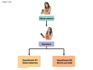 Figure 1.24a
Observations
Question
Hypothesis #1:
Dead batteries
Hypothesis #2:
Burnt-out bulb
 