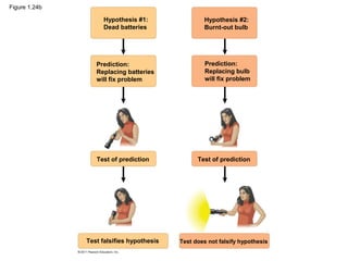 Figure 1.24b
Hypothesis #1:
Dead batteries
Hypothesis #2:
Burnt-out bulb
Prediction:
Replacing bulb
will fix problem
Test of prediction
Test falsifies hypothesis Test does not falsify hypothesis
Prediction:
Replacing batteries
will fix problem
Test of prediction
 