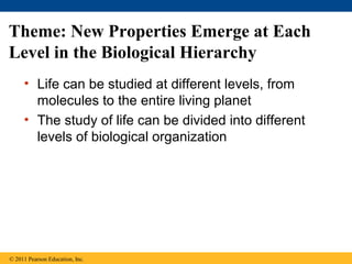 Theme: New Properties Emerge at Each
Level in the Biological Hierarchy
• Life can be studied at different levels, from
molecules to the entire living planet
• The study of life can be divided into different
levels of biological organization
© 2011 Pearson Education, Inc.
 