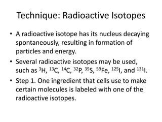 Technique: Radioactive Isotopes
• A radioactive isotope has its nucleus decaying
spontaneously, resulting in formation of
particles and energy.
• Several radioactive isotopes may be used,
such as 3H, 13C, 14C, 32P, 35S, 59Fe, 125I, and 131I.
• Step 1. One ingredient that cells use to make
certain molecules is labeled with one of the
radioactive isotopes.
 