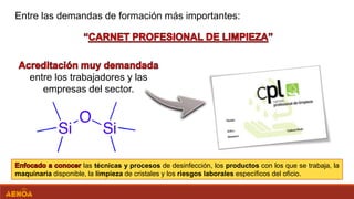 Entre las demandas de formación más importantes:
entre los trabajadores y las
empresas del sector.
las técnicas y procesos de desinfección, los productos con los que se trabaja, la
maquinaria disponible, la limpieza de cristales y los riesgos laborales específicos del oficio.
 