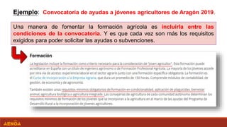 Ejemplo: Convocatoria de ayudas a jóvenes agricultores de Aragón 2019.
Una manera de fomentar la formación agrícola es incluirla entre las
condiciones de la convocatoria. Y es que cada vez son más los requisitos
exigidos para poder solicitar las ayudas o subvenciones.
 