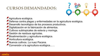 Agricultura ecológica.
Defensa contra plagas y enfermedades en la agricultura ecológica.
Desarrollo tecnológico de los procesos productivos.
Digitalización en la fabricación de alimentos.
Cultivos subtropicales de estevia y moringa.
Gestión de residuos agrícolas.
Bioalimentación y agricultura ecológica.
Horticultura ecológica.
Nuevos cultivos. La nuez Pacana.
Conversión a la agricultura ecológica..….
 