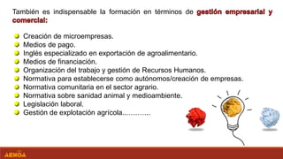 Creación de microempresas.
Medios de pago.
Inglés especializado en exportación de agroalimentario.
Medios de financiación.
Organización del trabajo y gestión de Recursos Humanos.
Normativa para establecerse como autónomos/creación de empresas.
Normativa comunitaria en el sector agrario.
Normativa sobre sanidad animal y medioambiente.
Legislación laboral.
Gestión de explotación agrícola...….…...
También es indispensable la formación en términos de
 