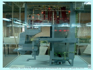 CROSS SECTION OF BOILER FURNACE & FLUE GAS PATH
 