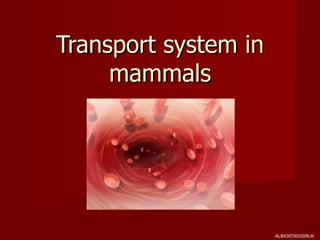 Transport system in
     mammals




                      ALBIO9700/2006JK
 