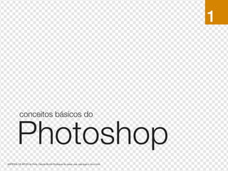 1




            conceitos básicos do


         Photoshop
MATERIAL DE APOIO da Profa. Claudia Bordin Rodrigues Se quiser usar, seja legal e cite a fonte.
 