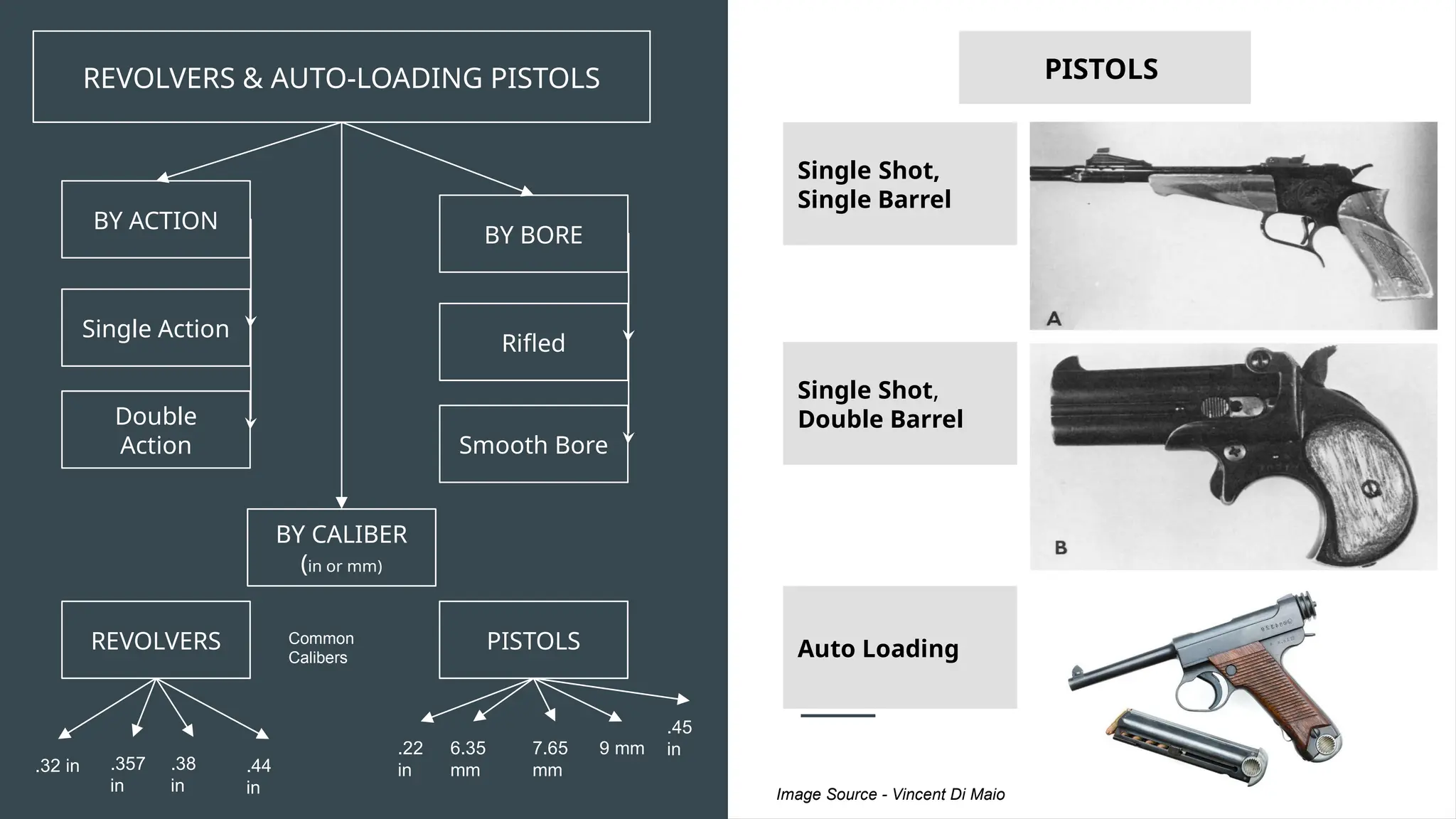Questions Gun Basics of Guns for Criminal Law Stakeholders | PPT