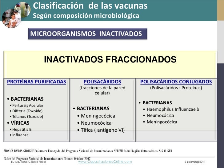 Conceptos Generales de Vacunas 2010 René Castillo Flores