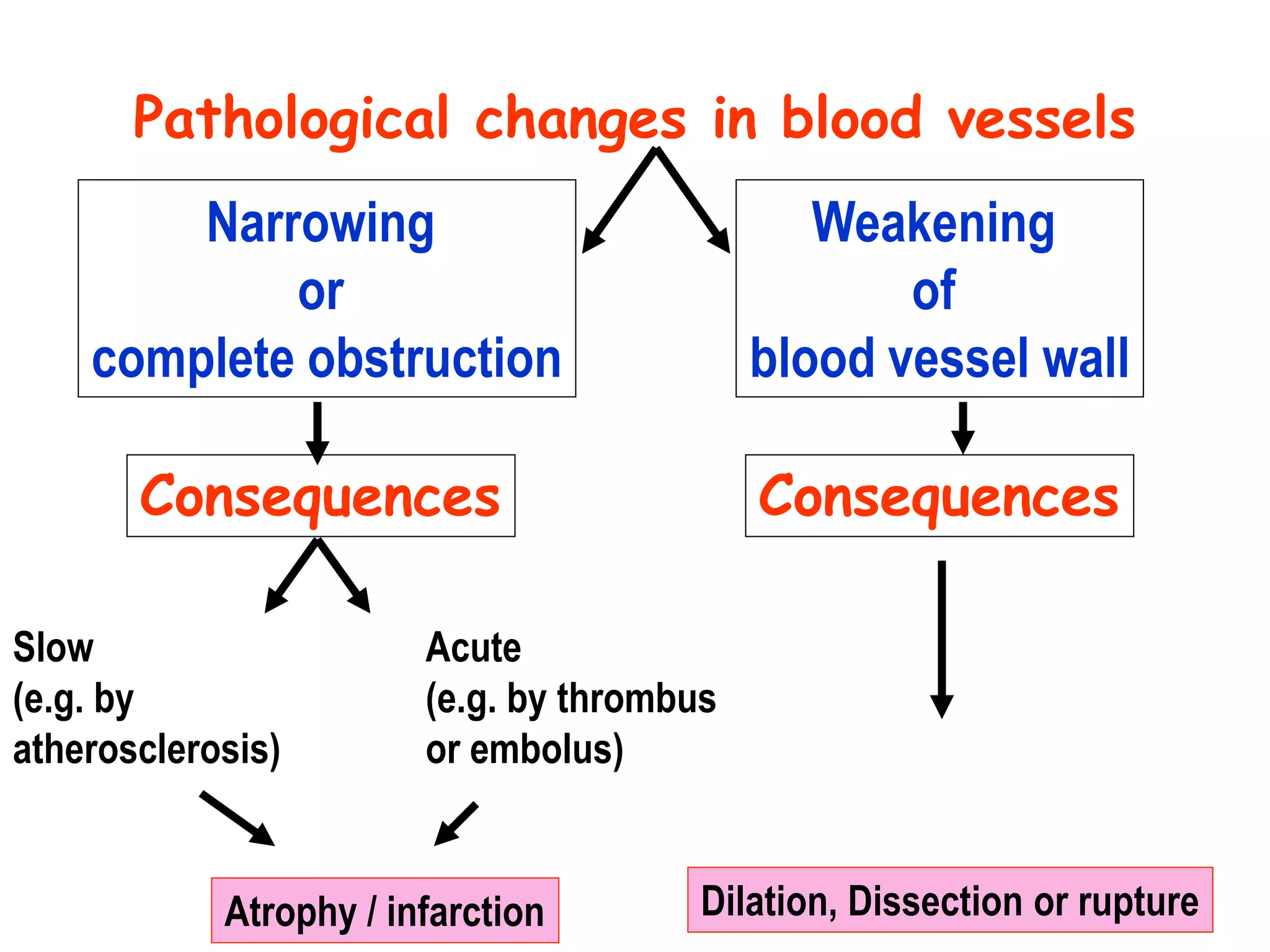 01 vascular pathology | PPT