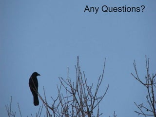 Any Questions?
 
