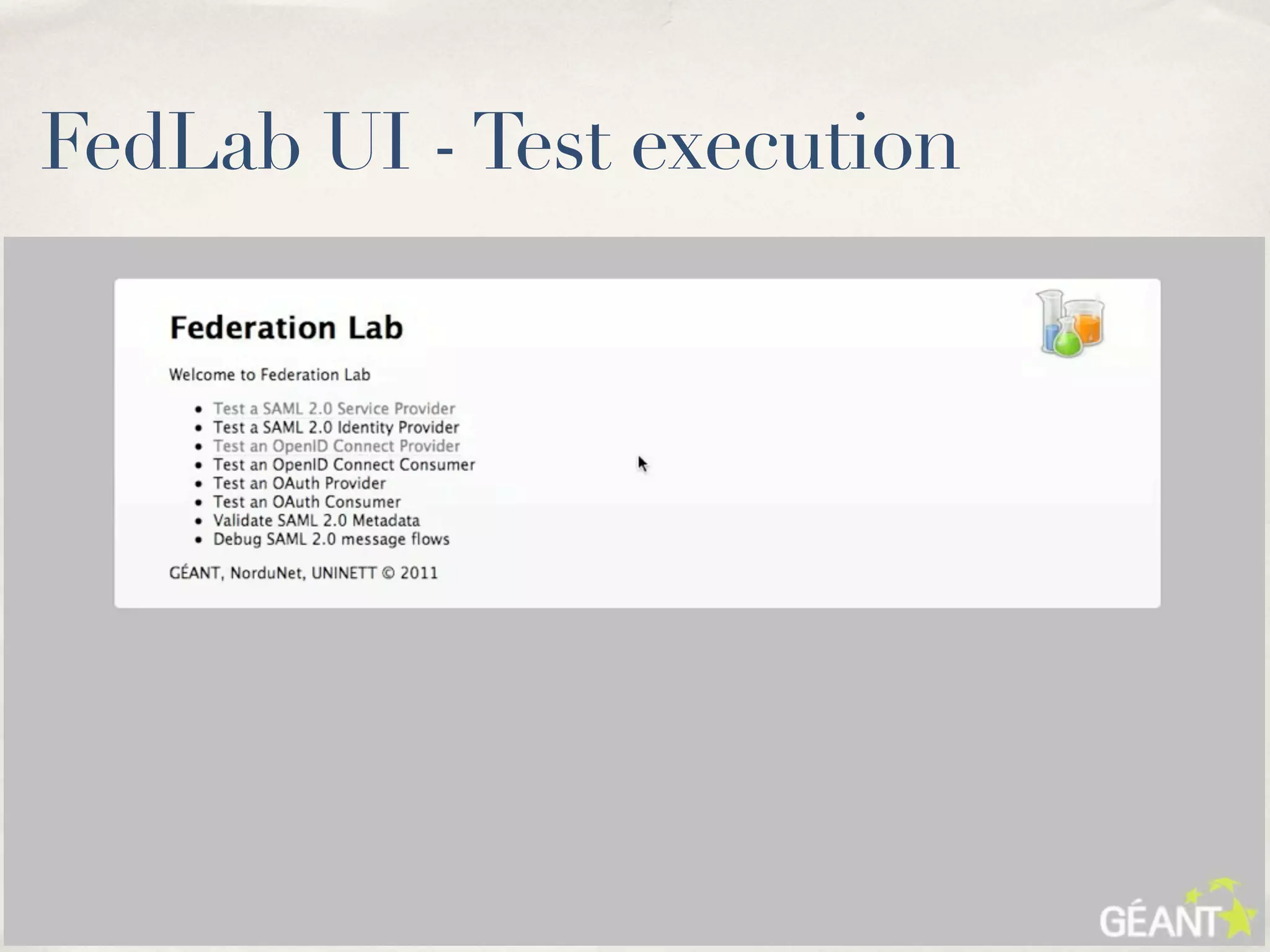FedLab UI - Test execution
 