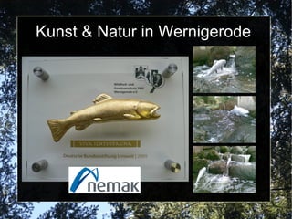 Kunst & Natur in Wernigerode
 