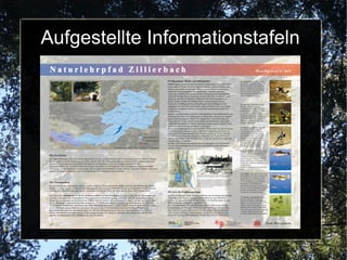Aufgestellte Informationstafeln
 