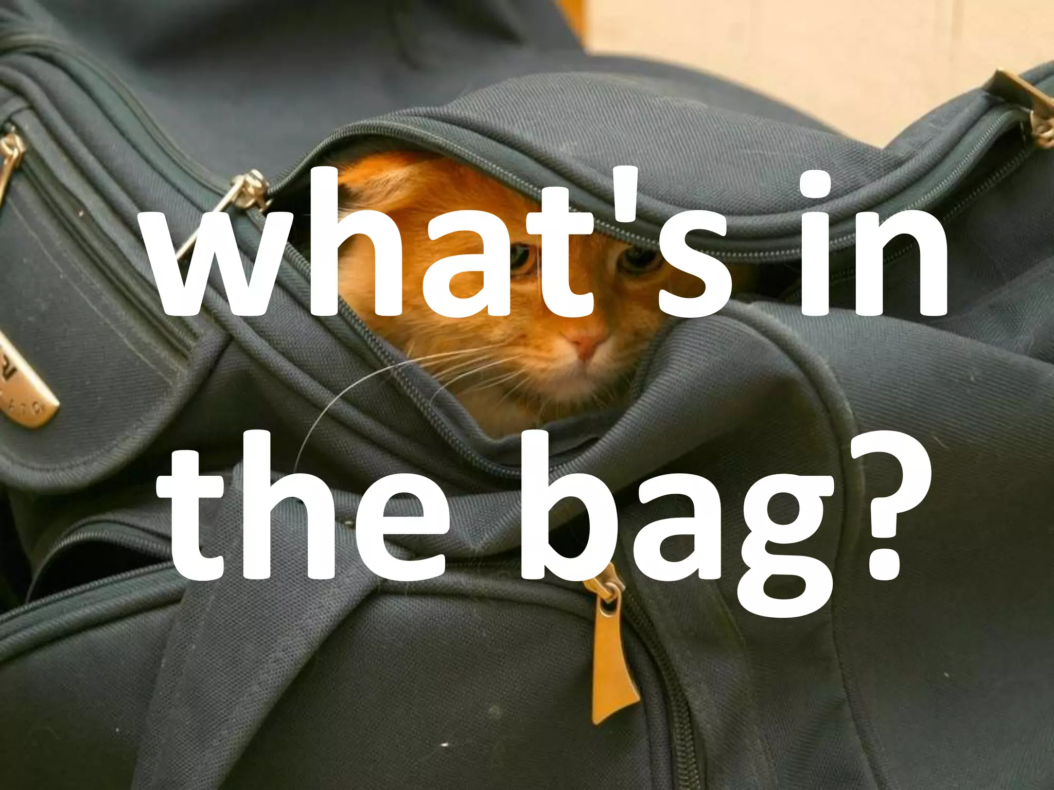 what's in
the bag?
 