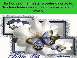 Na flor vejo manifestar o poder da criação, Nos teus lábios eu vejo estar o sorriso de um irmão, 