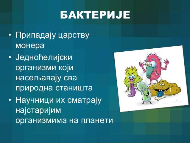 02 07 једноћелијски организми без организованог једра – бактерије