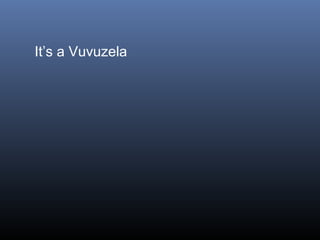 It’s a Vuvuzela

 