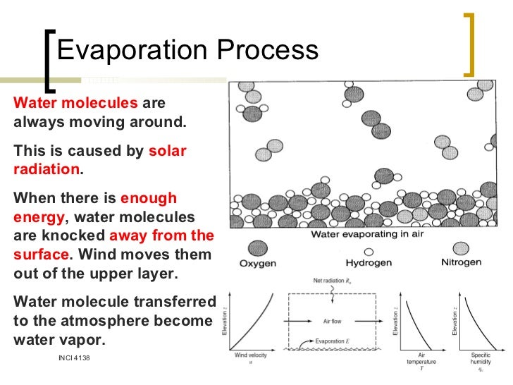 what happens to molecules during evaporation what happens to molecules during evaporation