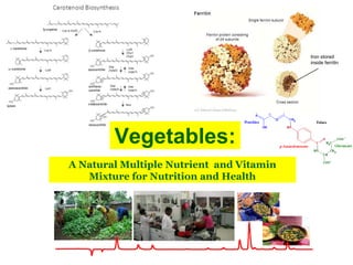Iron stored
                                          inside ferritin




        Vegetables:
A Natural Multiple Nutrient and Vitamin
   Mixture for Nutrition and Health
 