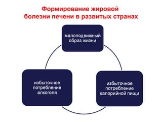 Формирование жировой
болезни печени в развитых странах
 