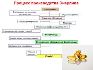 Процесс производства Энерлива
                                          Соевые бобы
          Экстракция в органическом
                растворителе                                   Отделение остатка
                                        Первичное обогащение
                Процесс ректификации
                                                                Масло сои

                                   Первичные фосфолипиды (лецитин)

Фракционная экстракция (этанол)
                                           Фосфолипиды
       Концентрация (де-этанолизация)

                                   Обогащенные, обезжиренные фосфолипиды

      Добавление α-токоферола


                          Упаковка в
                          капсулы
                                           Enerliv®
 