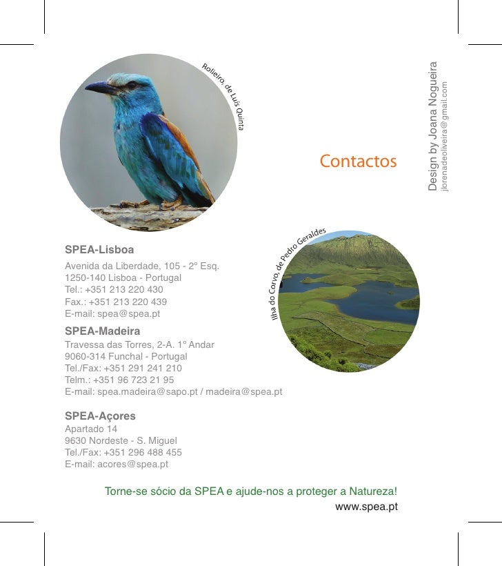 Design by Joana Nogueira
                                                                                      jlorenadeol...