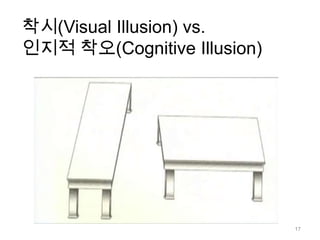 착시(Visual Illusion) vs. 인지적 착오(Cognitive Illusion)17