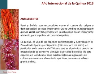 Año Internacional de la Quinua 2013
ANTECEDENTES
Perú y Bolivia son reconocidos como el centro de origen y
domesticación de este importante Grano Andino (Chenopodium
quinoa Wild), constituyéndose en la actualidad en un importante
alimento para la población de ambos países.
La quinua, es una de las especies domesticadas y cultivadas en el
Perú desde épocas prehispánicas (más de cinco mil años) en
particular en la cuenca del Titicaca, que es el principal centro de
origen donde se conserva la mayor diversidad biológica de esta
especie, en la indicada zona existen sistemas ingeniosos de
cultivo y una cultura alimentaria que incorpora a este valioso
grano andino.
Fotos: Heinz Plenge
 
