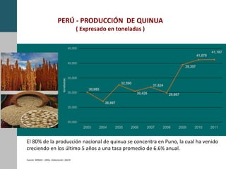 PERÚ - PRODUCCIÓN DE QUINUA
( Expresado en toneladas )
Fuente: MINAG – DRAs, Elaboración: DGCA
El 80% de la producción nacional de quinua se concentra en Puno, la cual ha venido
creciendo en los último 5 años a una tasa promedio de 6.6% anual.
30,085
26,997
32,590
30,428
31,824
29,867
39,397
41,079
41,167
20,000
25,000
30,000
35,000
40,000
45,000
2003 2004 2005 2006 2007 2008 2009 2010 2011
toneladas
 