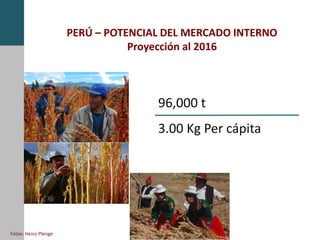 PERÚ – POTENCIAL DEL MERCADO INTERNO
Proyección al 2016
96,000 t
3.00 Kg Per cápita
Fotos: Heinz Plenge
 