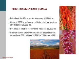 PERU: RESUMEN CASO QUINUA
 Década de los 40s se sembraba aprox. 45,000 ha.
 Hasta el 2008 la quinua se cultivó a nivel nacional en
alrededor de 29,000 ha.
 Del 2009 al 2011 se incrementó hasta las 35,000 ha.
 Últimos 6 años se incrementaron las exportaciones
pasando de 560 t/año en el 2005 a 7,600 t en el 2011
Fotos: Heinz Plenge
 