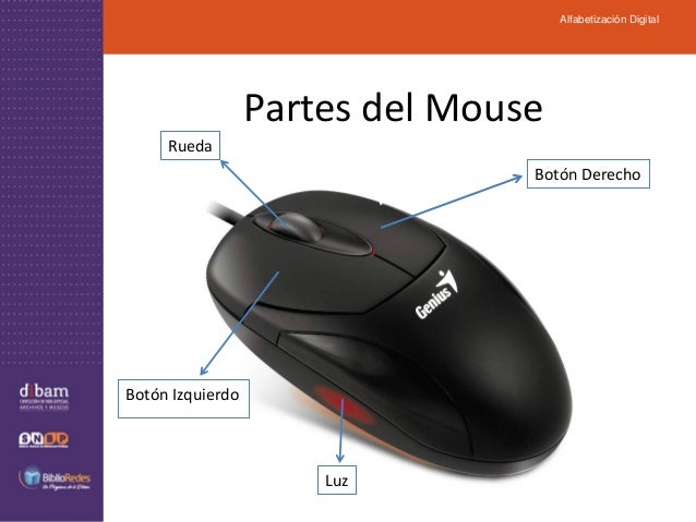 02. El Mouse 2013