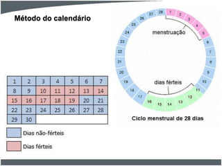 Método do calendário

 