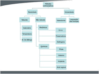 Métodos
contraceptivos

Reversíveis

Naturais

Calendário

Irreversíveis

Não naturais

Vasectomia

Mecânicos

D.I.U.
Temperatura
Preservativos
M. De Billings
Diafragma
Químicos
Pílula

Adesivo

Implante

Anel vaginal

Laqueação
das trompas

 