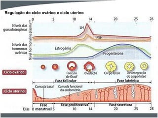 Regulação do ciclo ovárico e ciclo uterino

 
