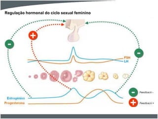 Regulação hormonal do ciclo sexual feminino

 