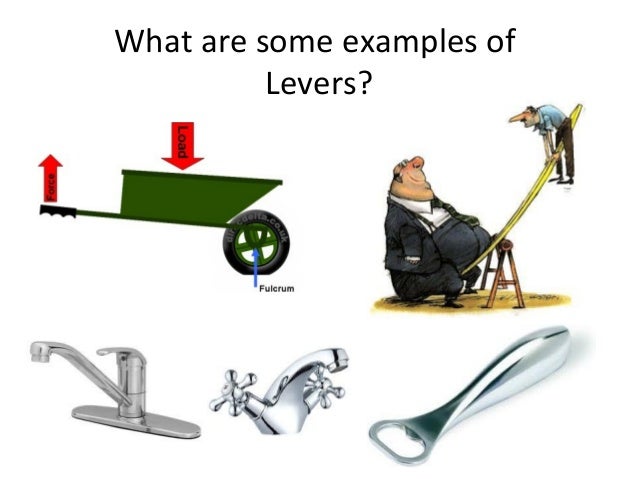 Examples Of Levers Examples Of Levers