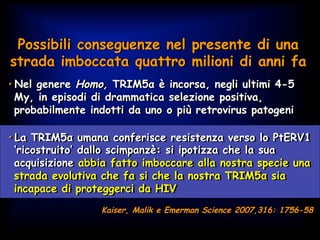 Possibili conseguenze nel presente di una
strada imboccata quattro milioni di anni fa
• Nel genere Homo, TRIM5α è incorsa, negli ultimi 4-5
My, in episodi di drammatica selezione positiva,
probabilmente indotti da uno o più retrovirus patogeni
• La TRIM5α umana conferisce resistenza verso lo PtERV1
‘ricostruito’ dallo scimpanzè: si ipotizza che la sua
acquisizione abbia fatto imboccare alla nostra specie una
strada evolutiva che fa si che la nostra TRIM5α sia
incapace di proteggerci da HIV
Kaiser, Malik e Emerman Science 2007,316: 1756-58
 