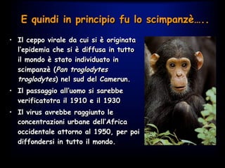E quindi in principio fu lo scimpanzè…..
•  Il ceppo virale da cui si è originata
l’epidemia che si è diffusa in tutto
il mondo è stato individuato in
scimpanzè (Pan troglodytes
troglodytes) nel sud del Camerun.
•  Il passaggio all’uomo si sarebbe
verificatotra il 1910 e il 1930
•  Il virus avrebbe raggiunto le
concentrazioni urbane dell’Africa
occidentale attorno al 1950, per poi
diffondersi in tutto il mondo.
 